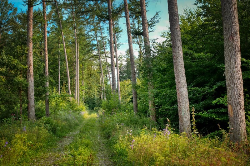 Inspirational Paths