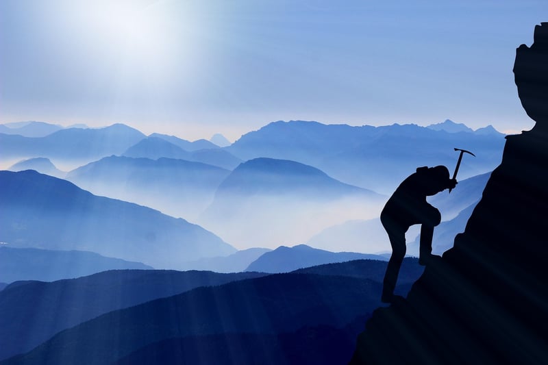 Resilience and Perseverance